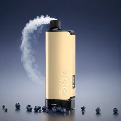 Alibarbar Ingot 9000 Puffs Norge Engros Vape Blåbærblast med 22ml E-væske, 9000 Puffs og LED-skjerm