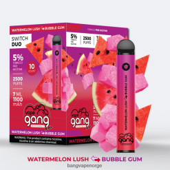 Bang Vape 5000 Puffs Nicotine - Vape Gang Switch Duo 2 smaker (eske med 10) 2B260F49 vannmelon frodig - tyggegummi