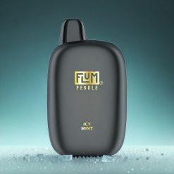 Flum Pebble 6000 Norge Engros – 10ml E-væske, 5% Nikotin, 500mAh Batteri, Isete Mynte