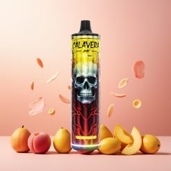 JNR Calavera 11000 Puffs Norge Engros Vape til engangsbruk Fersken Mango – Type-C Lading, 21ml E-Liquid, 1.0ohm Mesh Coil