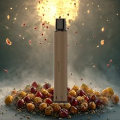 LIO Mini 600 Puffs Engangs vape Tobacco Norge engros – 400mAh batteri, 2ml kapasitet, 20mg nikotin