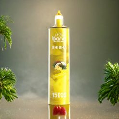Norge Engros Bang Shisha 15000 Puffs Norge Engros Engangs vape med Type-C