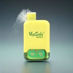 Vapsolo Twins 20000 Puffs Norge engros Vape Ananas Kokos & Vannmelon Is 40 ml 2 Tanker Type-C